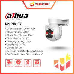 DH-P5B-PV
