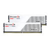 F5-5600J4040C16GX2-RS5W