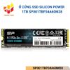 SP001TBP34A60M28