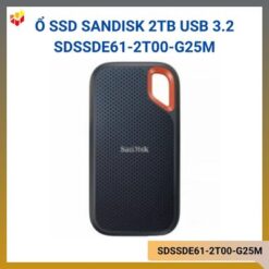 SDSSDE61-2T00-G25M