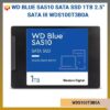 WDS100T3B0A