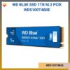 WDS100T4B0E