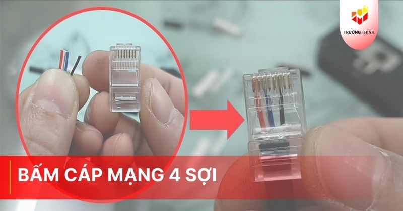 Cách bấm cáp mạng 4 sợi - Trường Thịnh Telecom