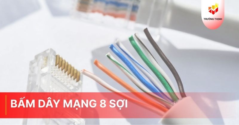 Bấm dây mạng 8 sợi - Trường Thịnh Telecom