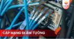 Cáp mạng đi âm tường