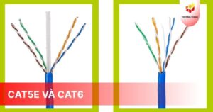 Cat5e và Cat6