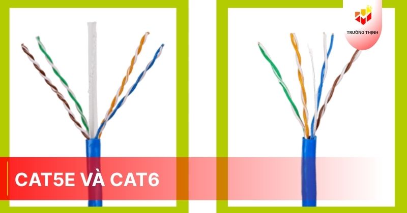 Cat5e và Cat6