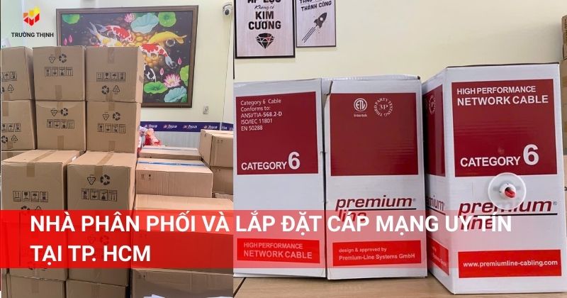 Nhà phân phối và lắp đặt cáp mạng uy tín tại TP. HCM - Trường Thịnh Telecom