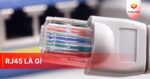 RJ45 là gì? Hướng dẫn cách bấm dây mạng RJ45