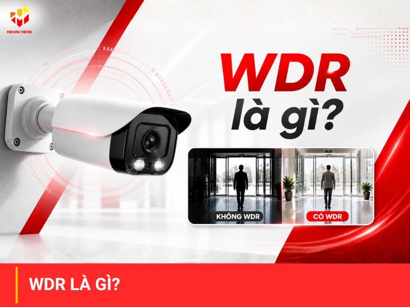 WDR là gì?